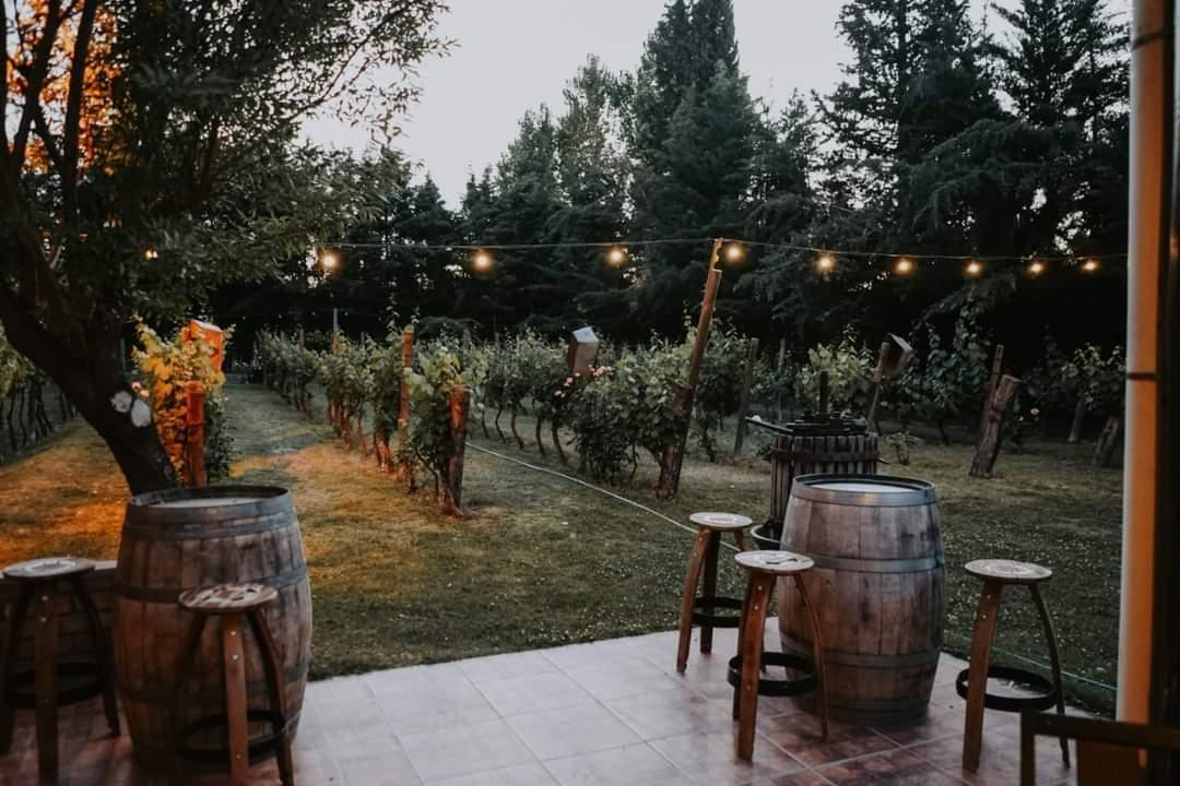 Salon de Eventos en Lujan de Cuyo 2