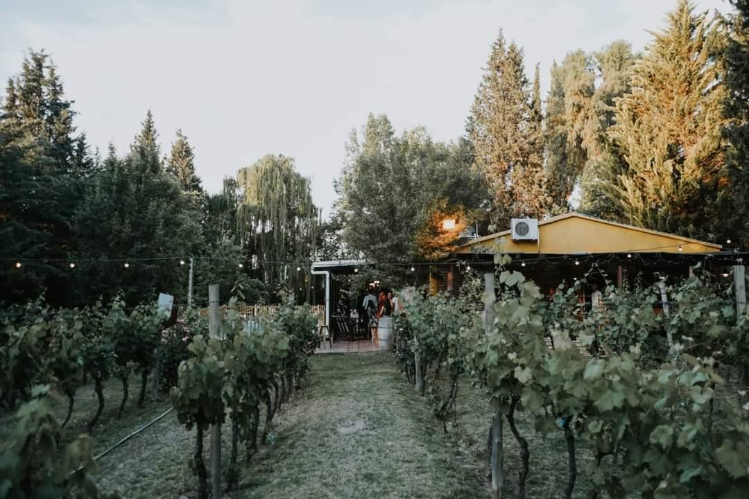 Salon de Eventos en Lujan de Cuyo 3