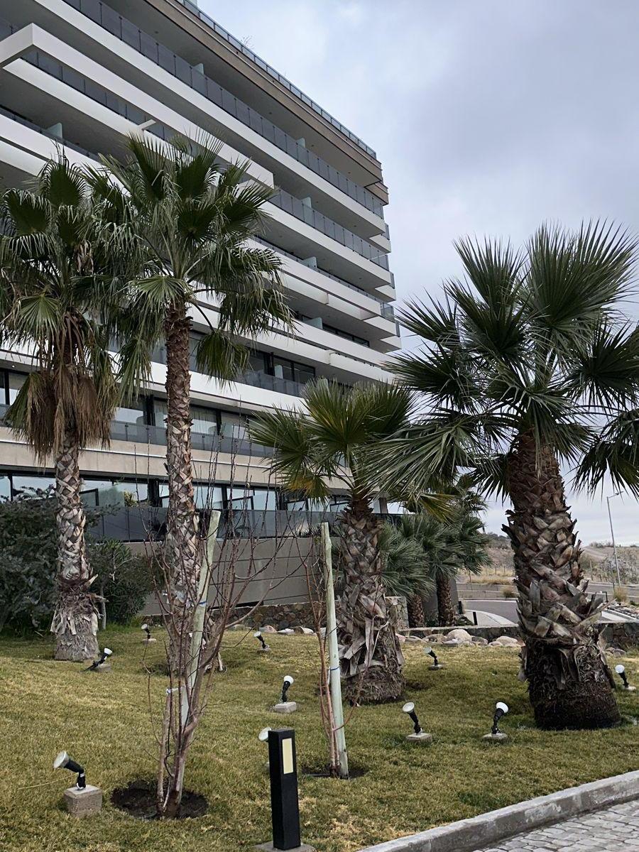 Departamento de Categoría en Edificio Las Lomas. Palmares Valley 2