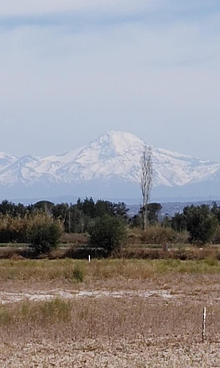 Lotes en Olivares de San Roque 5