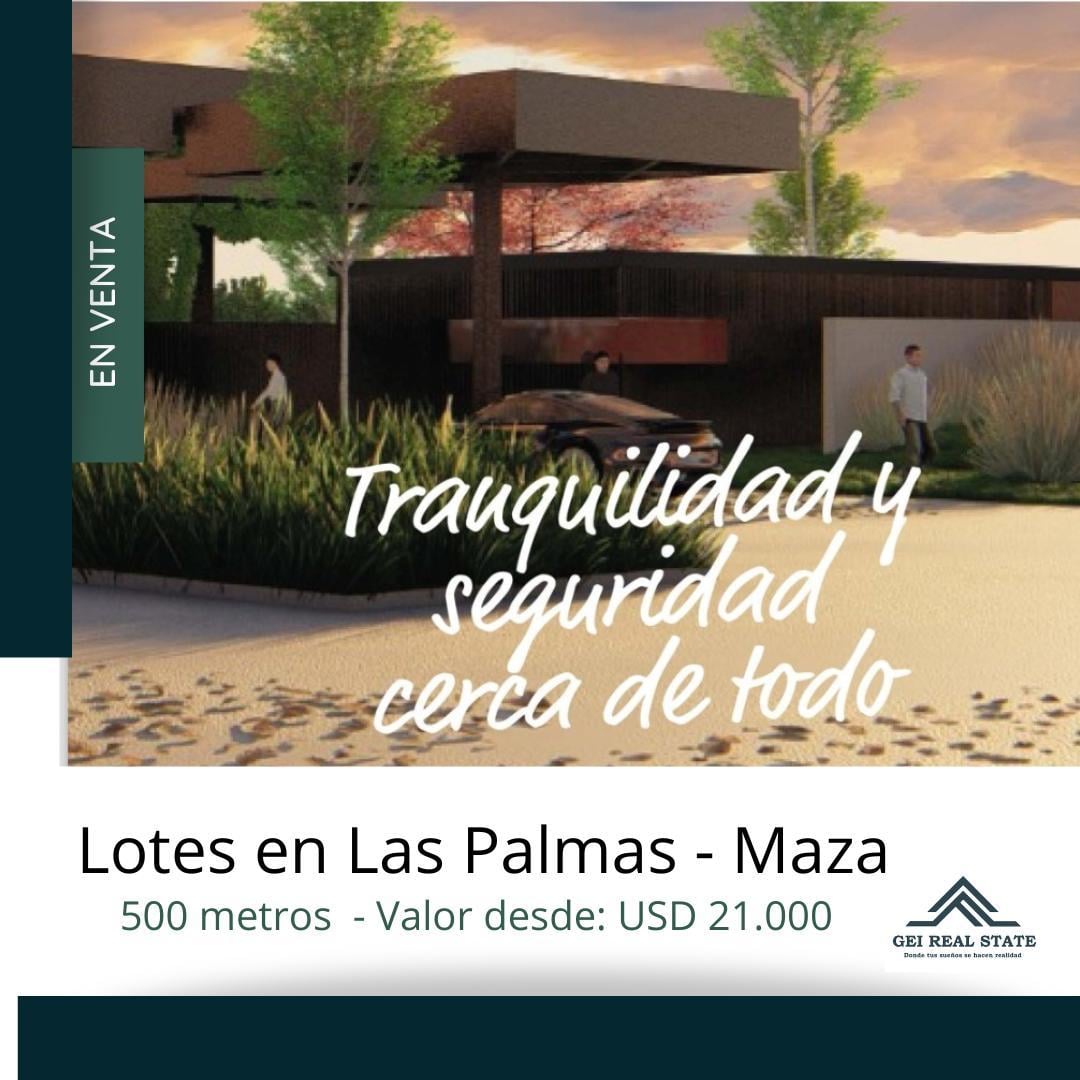 Lotes en las palmas - Maza