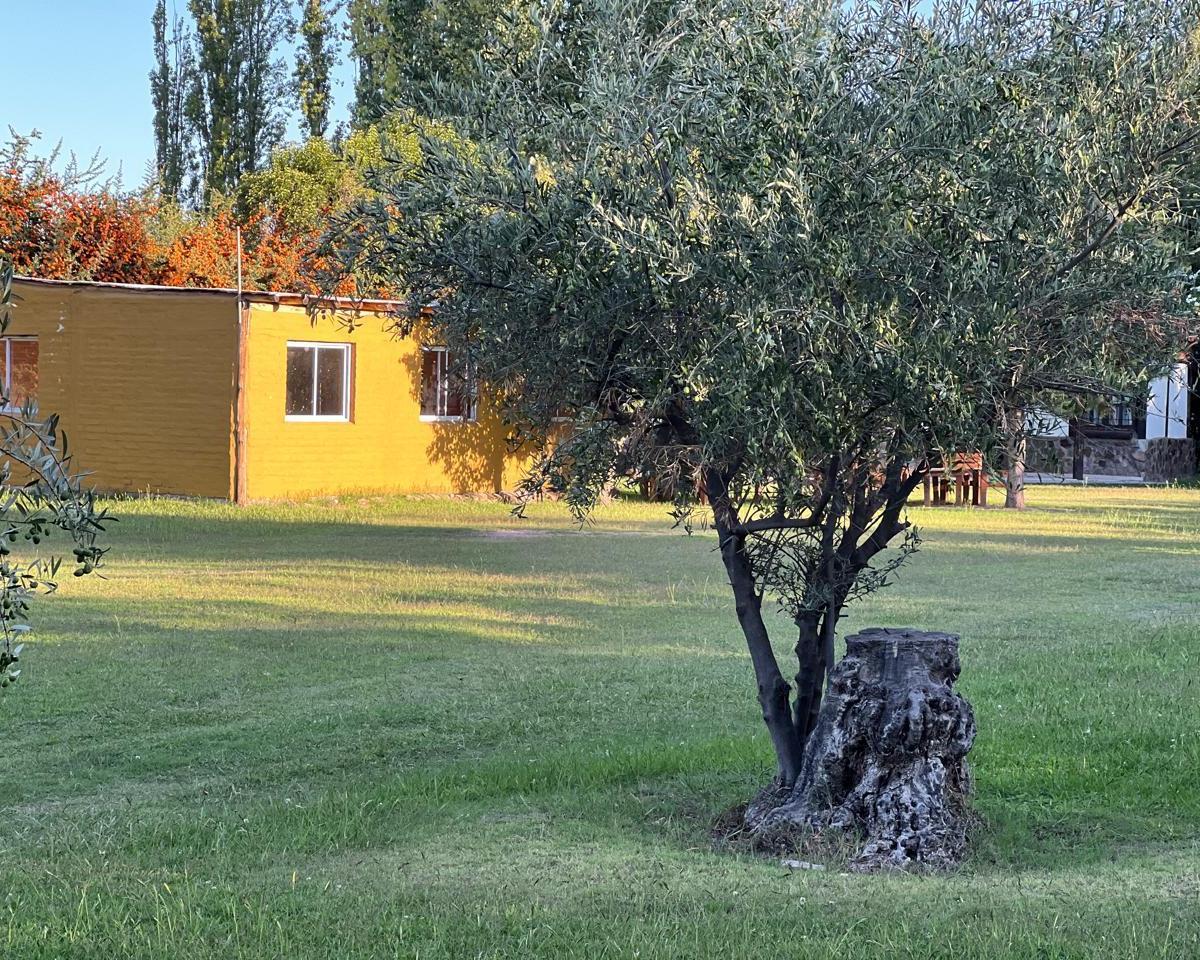 Propiedad en Perdriel, Lujan de Cuyo 5