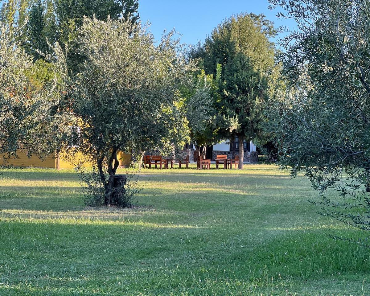 Propiedad en Perdriel, Lujan de Cuyo 1