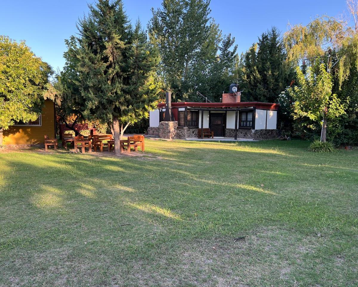 Propiedad en Perdriel, Lujan de Cuyo 2