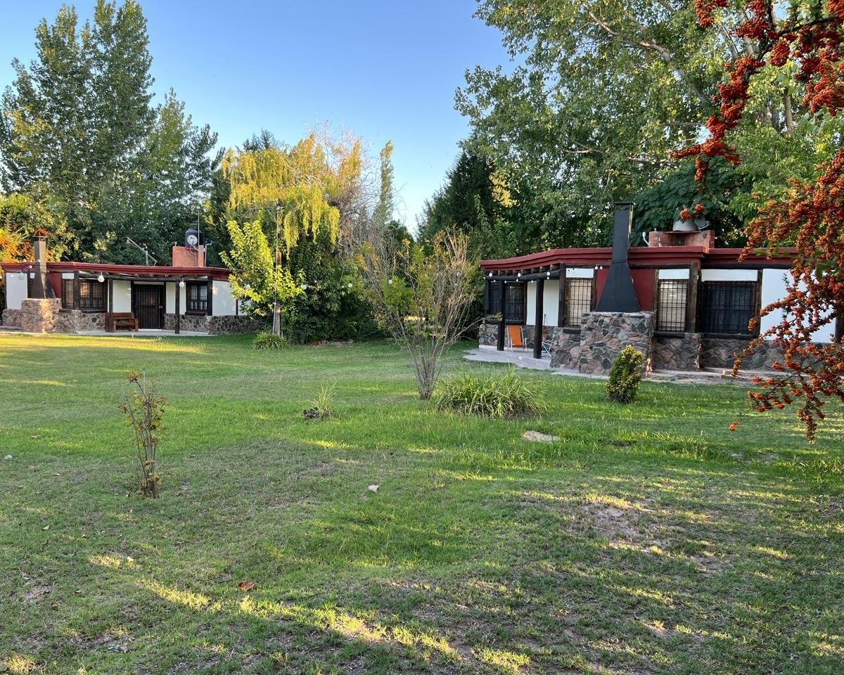 Propiedad en Perdriel, Lujan de Cuyo 3
