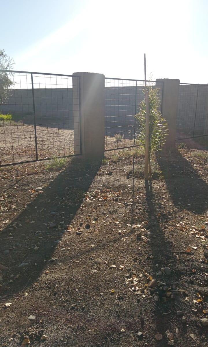 Lote en Calle Tropero Sosa. Maipú 2