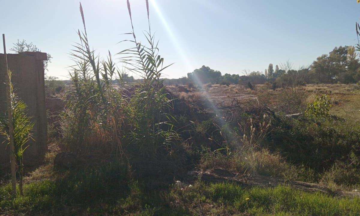 Lote en Calle Tropero Sosa. Maipú 5