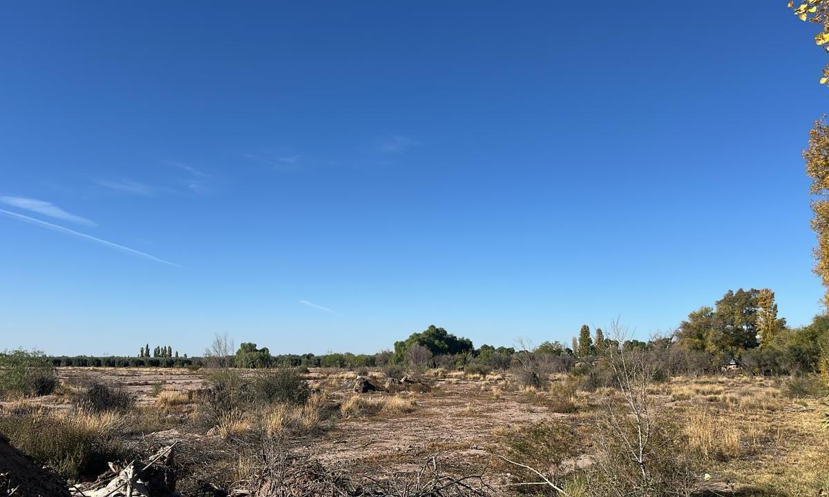 Lote en Calle Tropero Sosa. Maipú 3