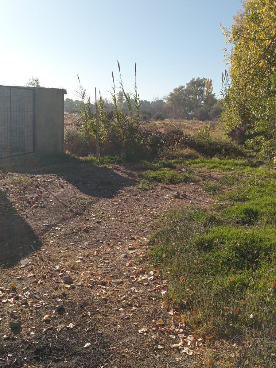 Lote en Calle Tropero Sosa. Maipú 4