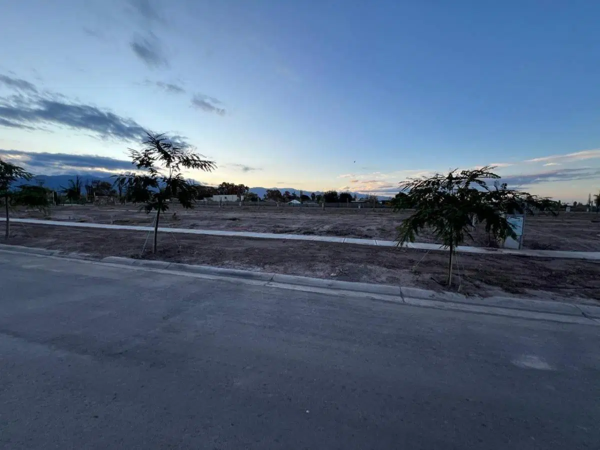 Lote en barrio Qvattro Viamonte- Chacras de Coria 8