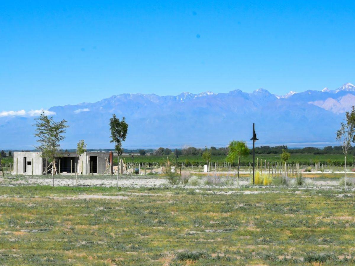 Foto de Lotes en Tupungato Valley -, imagen 2