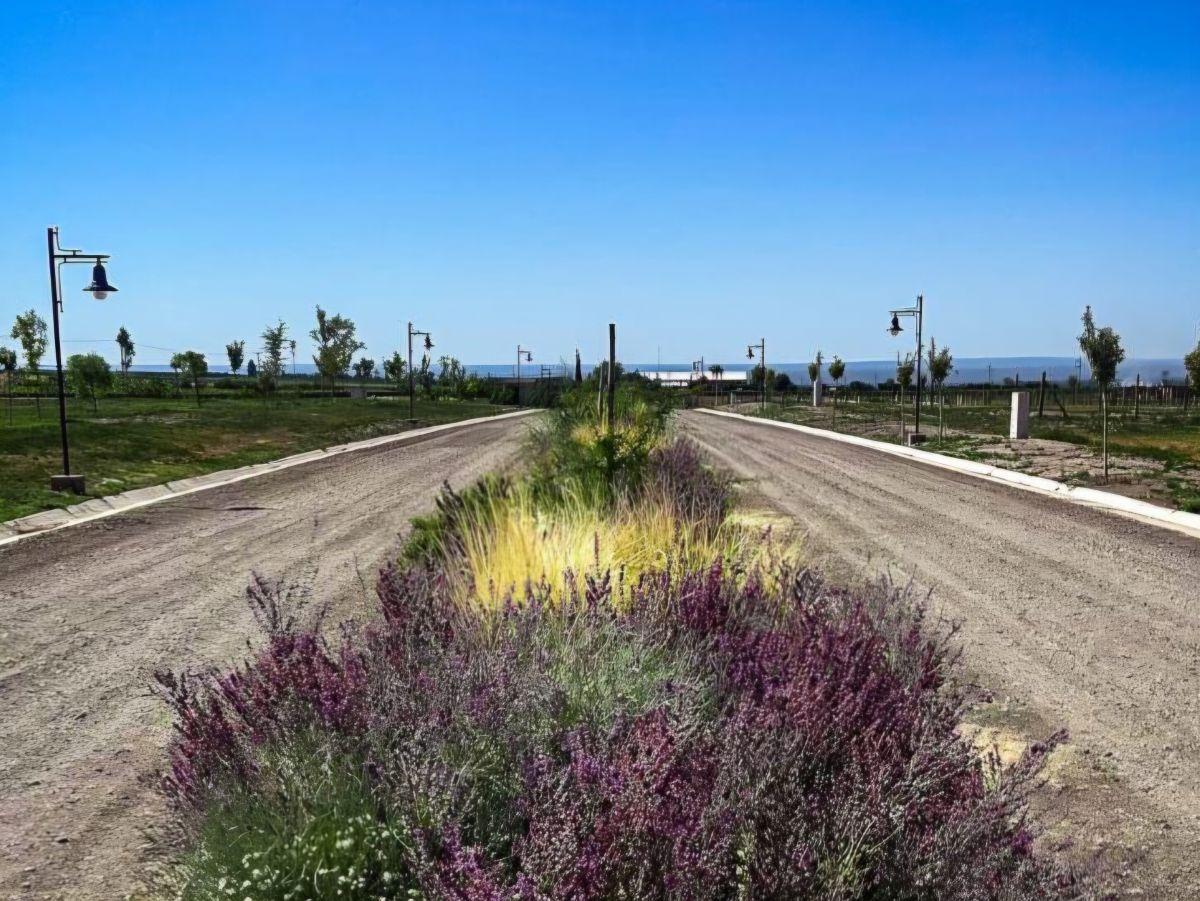 Foto de Lotes en Tupungato Valley -, imagen 5