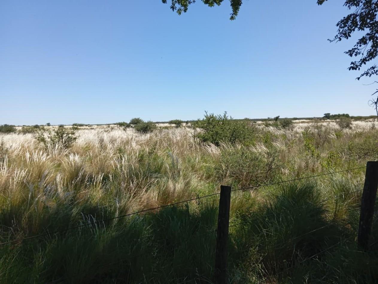 Foto de CAMPO EN VENTA EN SAN FRANCISCO DEL CHAÑAR, imagen 5
