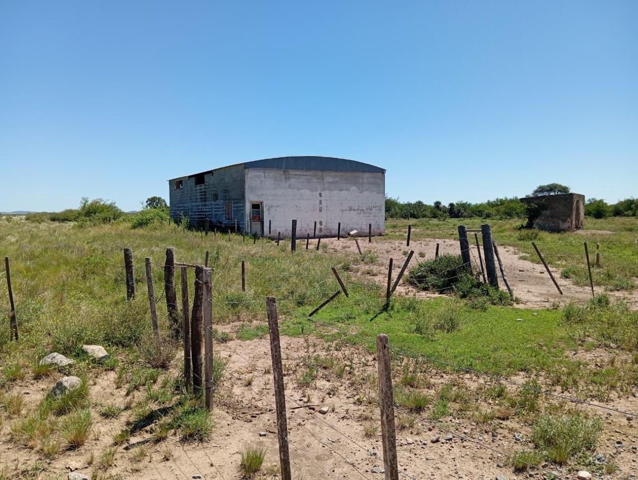 Foto de CAMPO EN VENTA EN SAN FRANCISCO DEL CHAÑAR, imagen 2