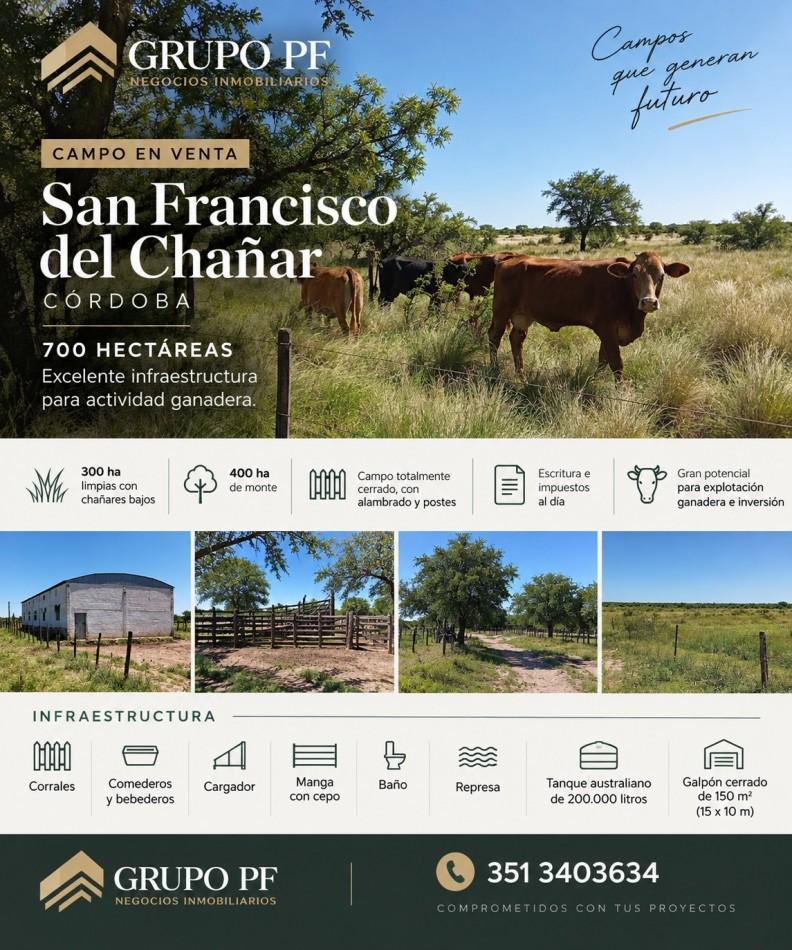 Foto de CAMPO EN VENTA EN SAN FRANCISCO DEL CHAÑAR, imagen 1