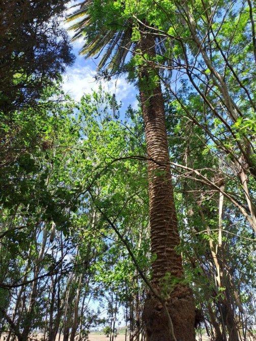 46 Ha de Campo en Zona Rural - Lobos 2