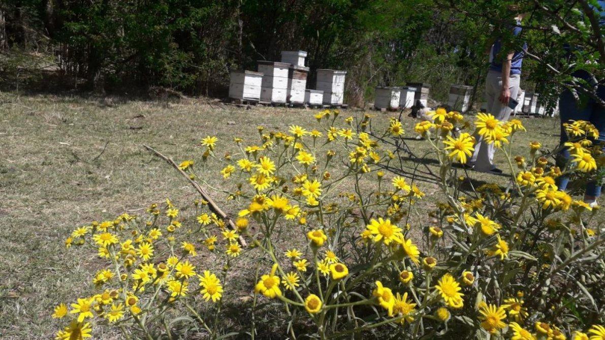 46 Ha de Campo en Zona Rural - Lobos 1