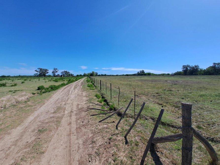 46 Ha de Campo en Zona Rural - Lobos 3