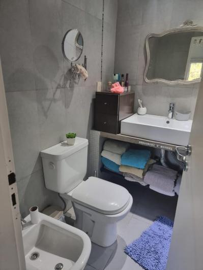 Foto de VENADO 2, imagen 1
