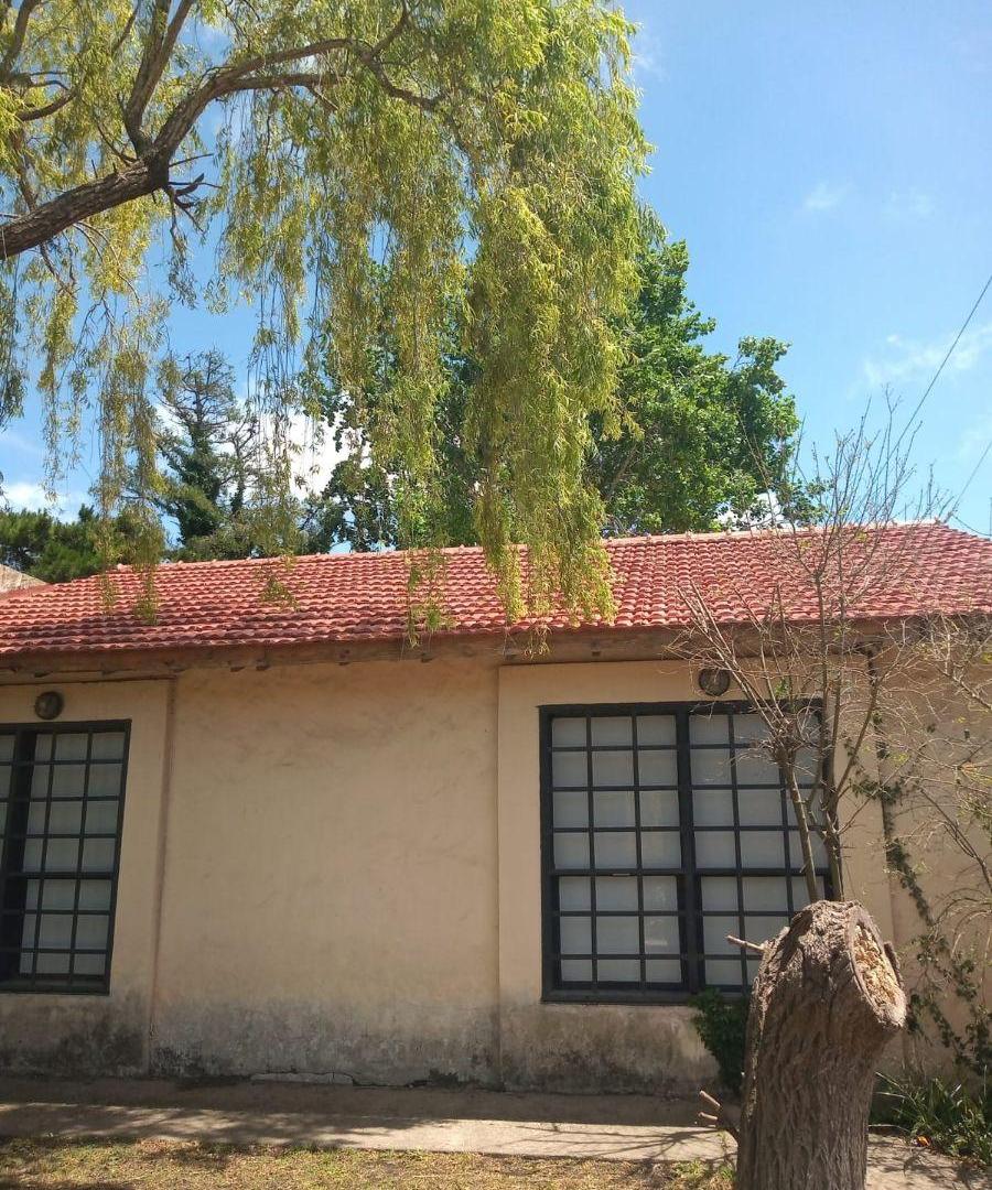 Foto de VIVIENDA EN PROPIEDAD HORIZONTAL - MAR DEL PLATA - PROVINCIA DE BUENOS, imagen 1