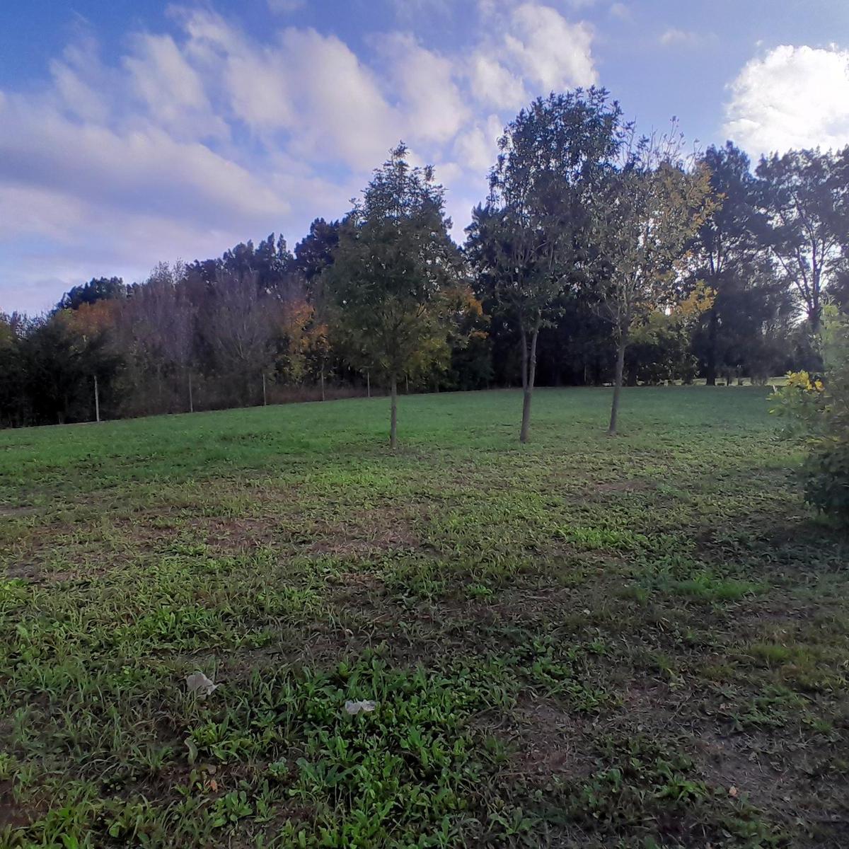 Terreno en Venta Permuta Oportunidad Oferta Desarrollo 2