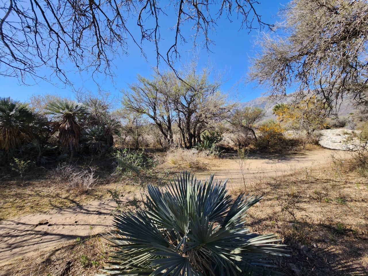 Foto de Venta - Hectarea con fondo de 2 rios - Rio Gomez - San Luis, imagen 5