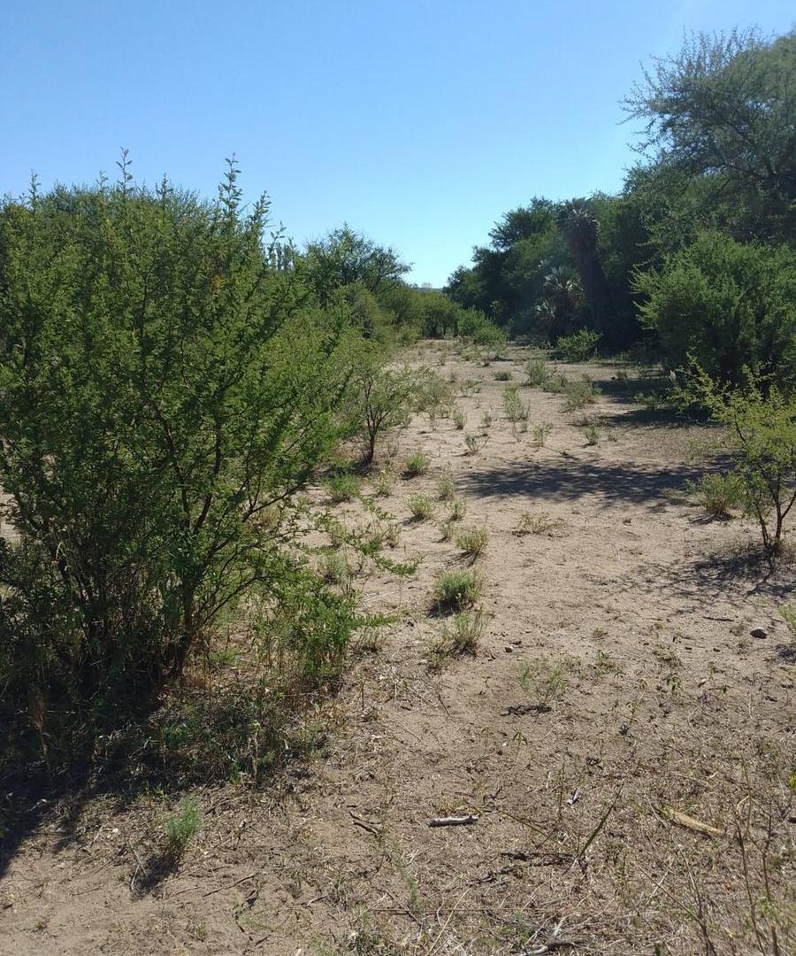 Foto de Venta - 5.000 m2 - Rio Gómez San Francisco del monte de Oro - San Luis, imagen 2