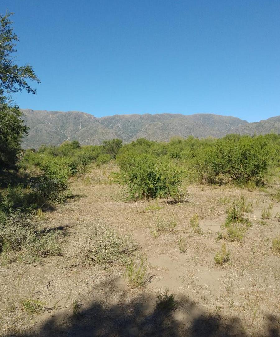 Foto de Venta - 5.000 m2 - Rio Gómez San Francisco del monte de Oro - San Luis, imagen 4