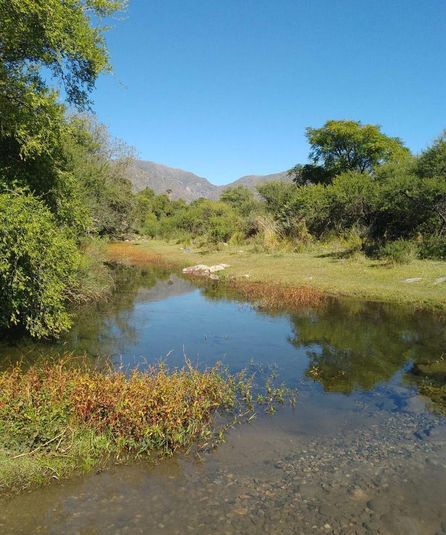Foto de Venta - 5.000 m2 - Rio Gómez San Francisco del monte de Oro - San Luis, imagen 1