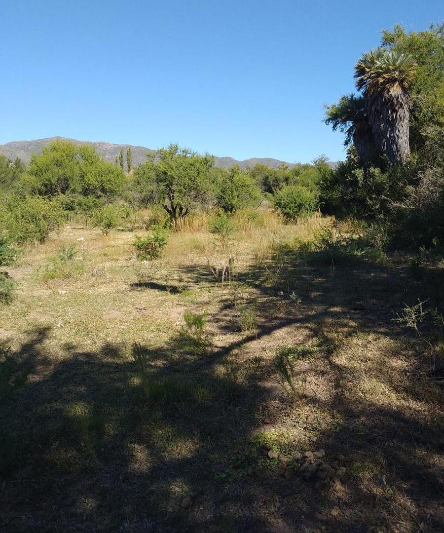 Foto de Venta - 5.000 m2 - Rio Gómez San Francisco del monte de Oro - San Luis, imagen 5