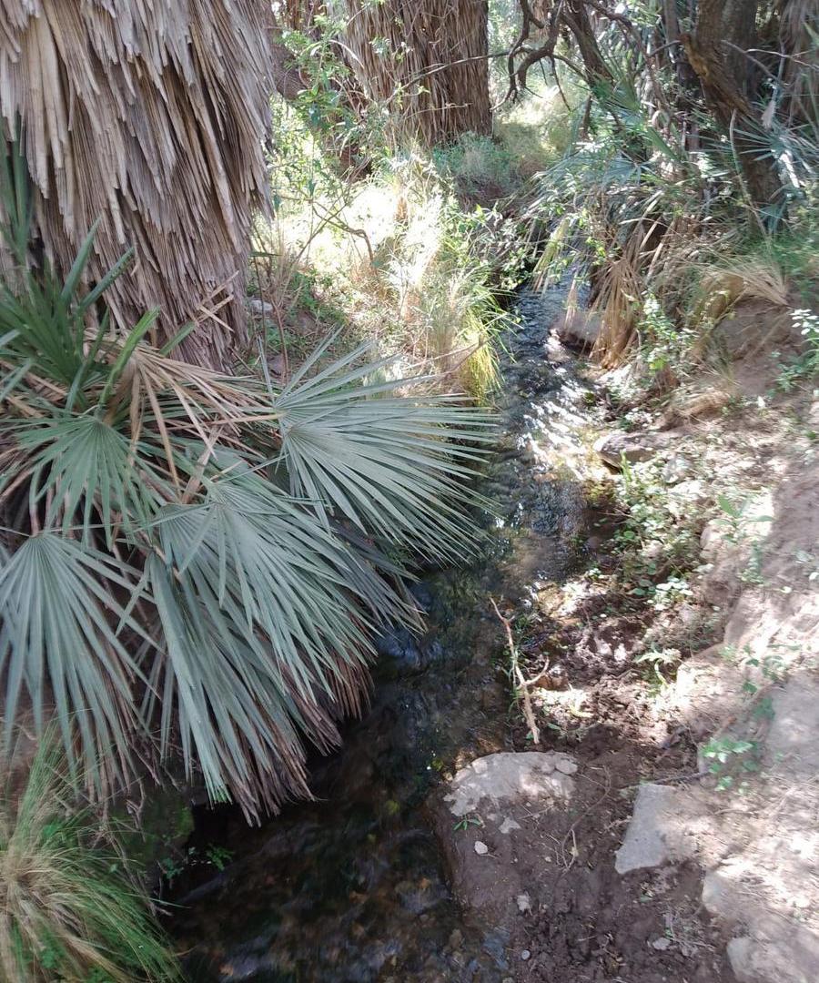 Foto de Venta - 5.000 m2 - Rio Gómez San Francisco del monte de Oro - San Luis, imagen 3