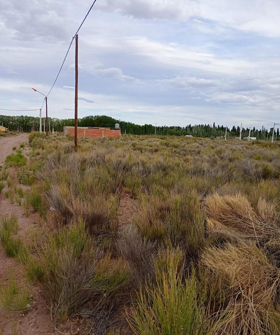 Foto de Terreno en lote Amedea, Plottier, imagen 3