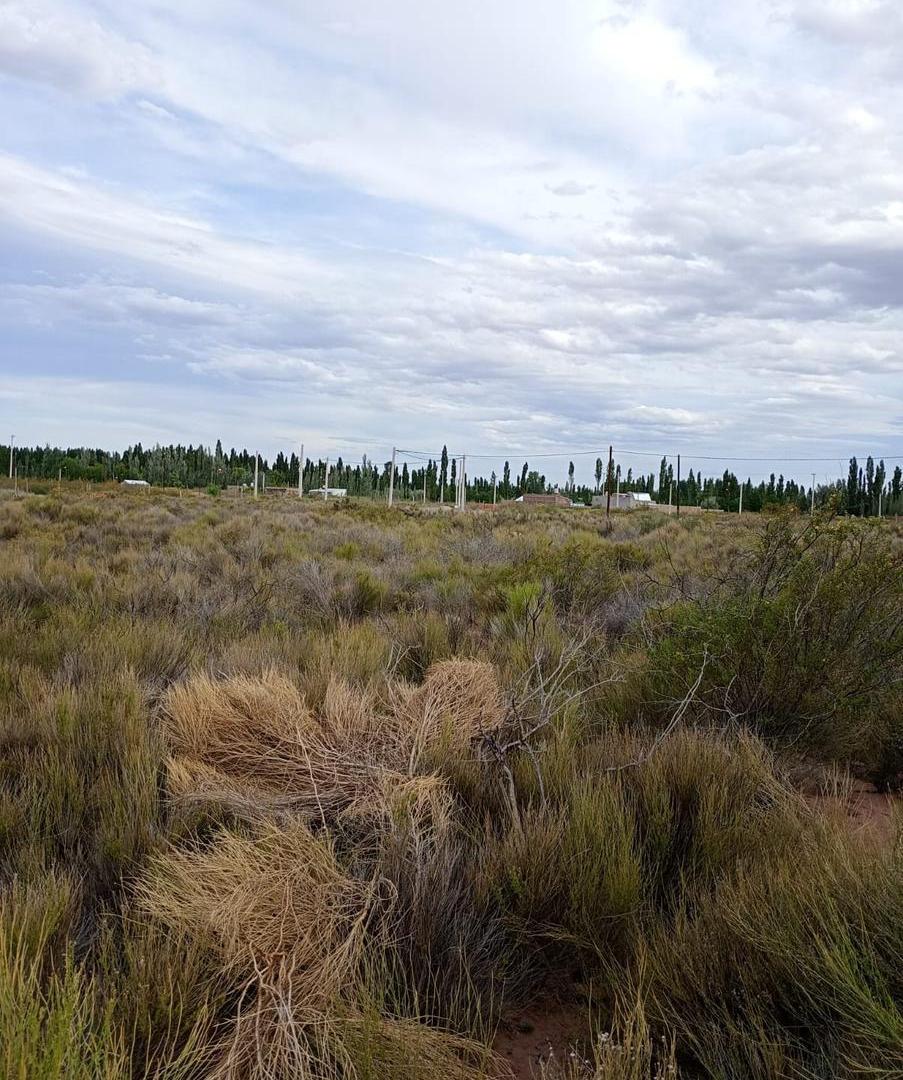 Foto de Terreno en lote Amedea, Plottier, imagen 4