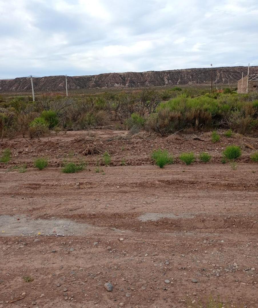 Foto de Terreno en lote Amedea, Plottier, imagen 1