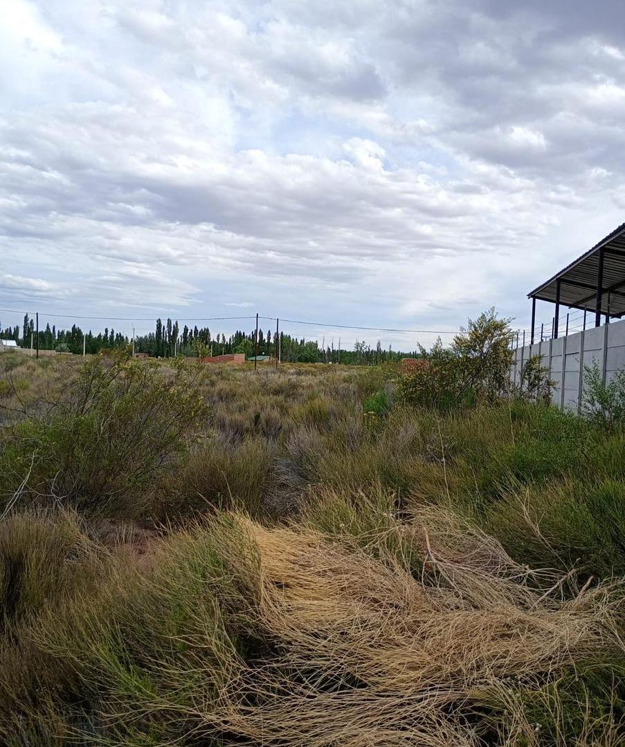 Foto de Terreno en lote Amedea, Plottier, imagen 2