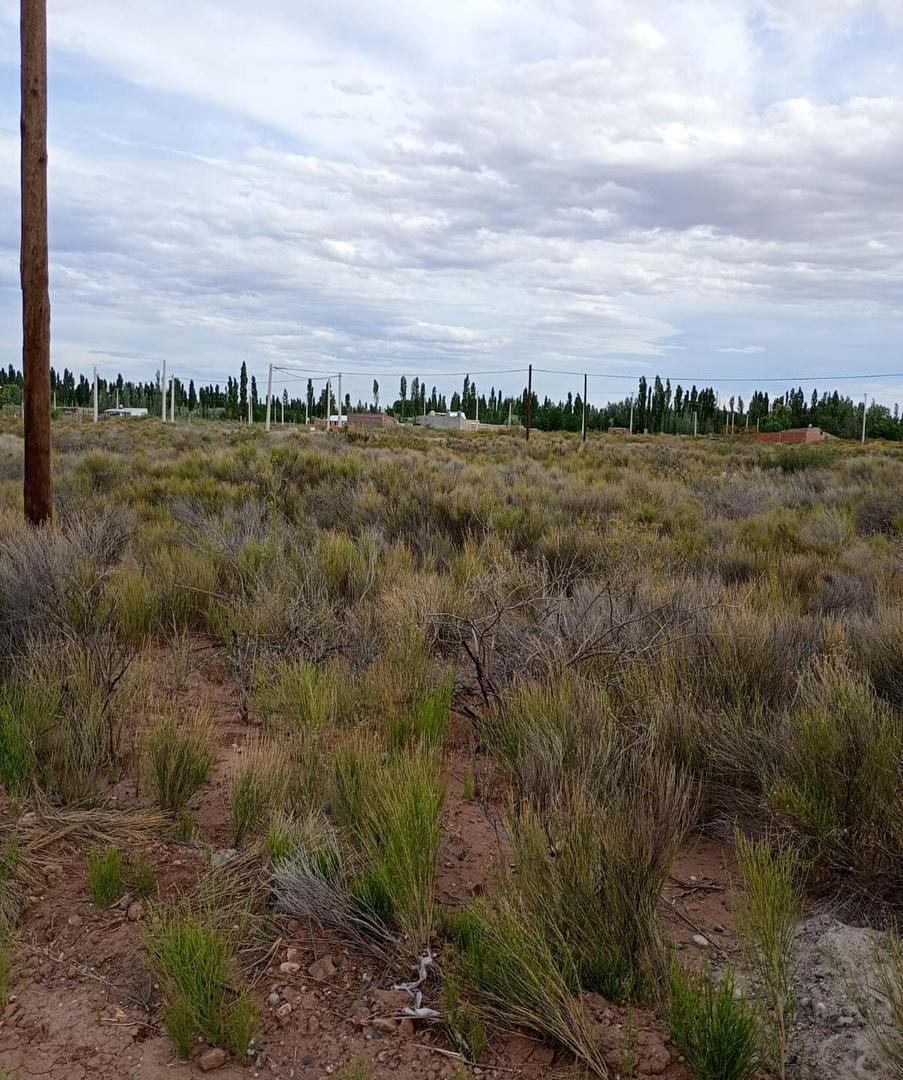 Foto de Terreno en lote Amedea, Plottier, imagen 5
