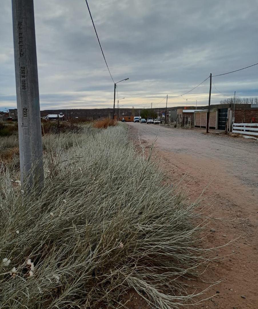 Foto de Amplio Terreno en Colonia San Francisco, Plottier, imagen 3