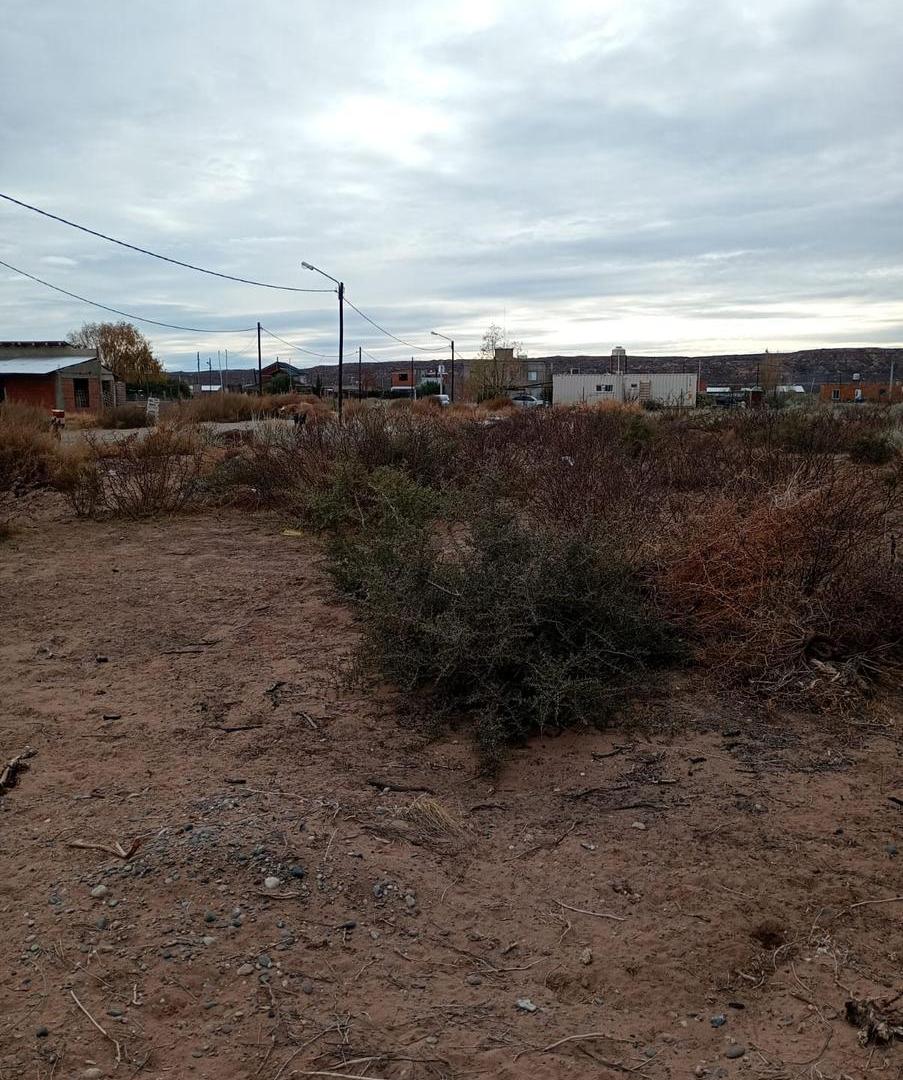 Foto de Amplio Terreno en Colonia San Francisco, Plottier, imagen 5