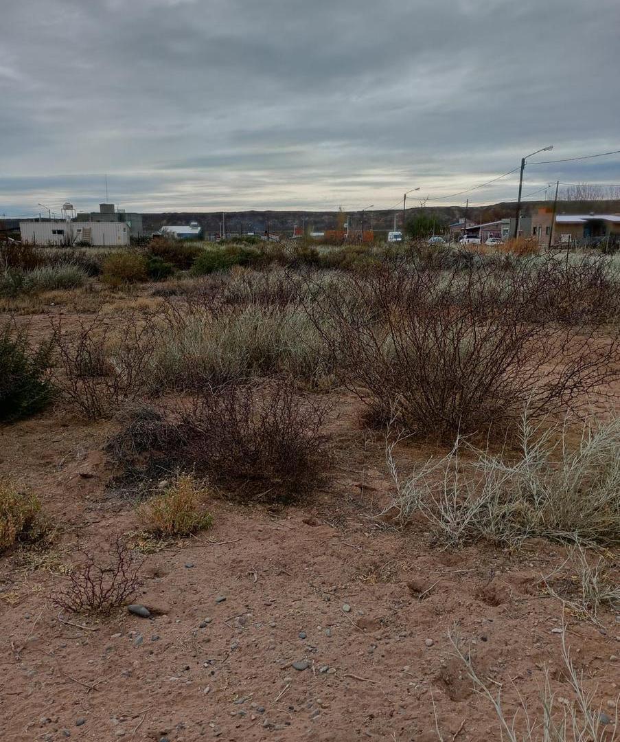 Foto de Amplio Terreno en Colonia San Francisco, Plottier, imagen 1