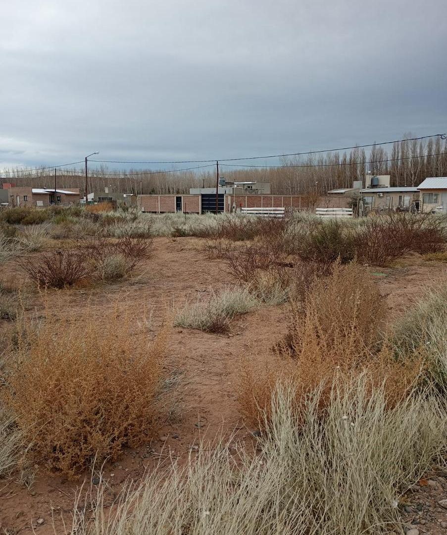 Foto de Amplio Terreno en Colonia San Francisco, Plottier, imagen 4