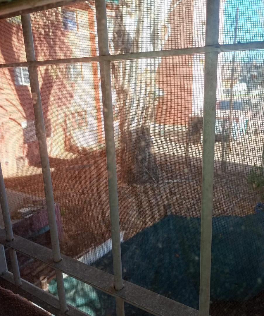 Foto de Departamento de tres dormitorios en el Barrio Gran Neuquen Norte, imagen 4