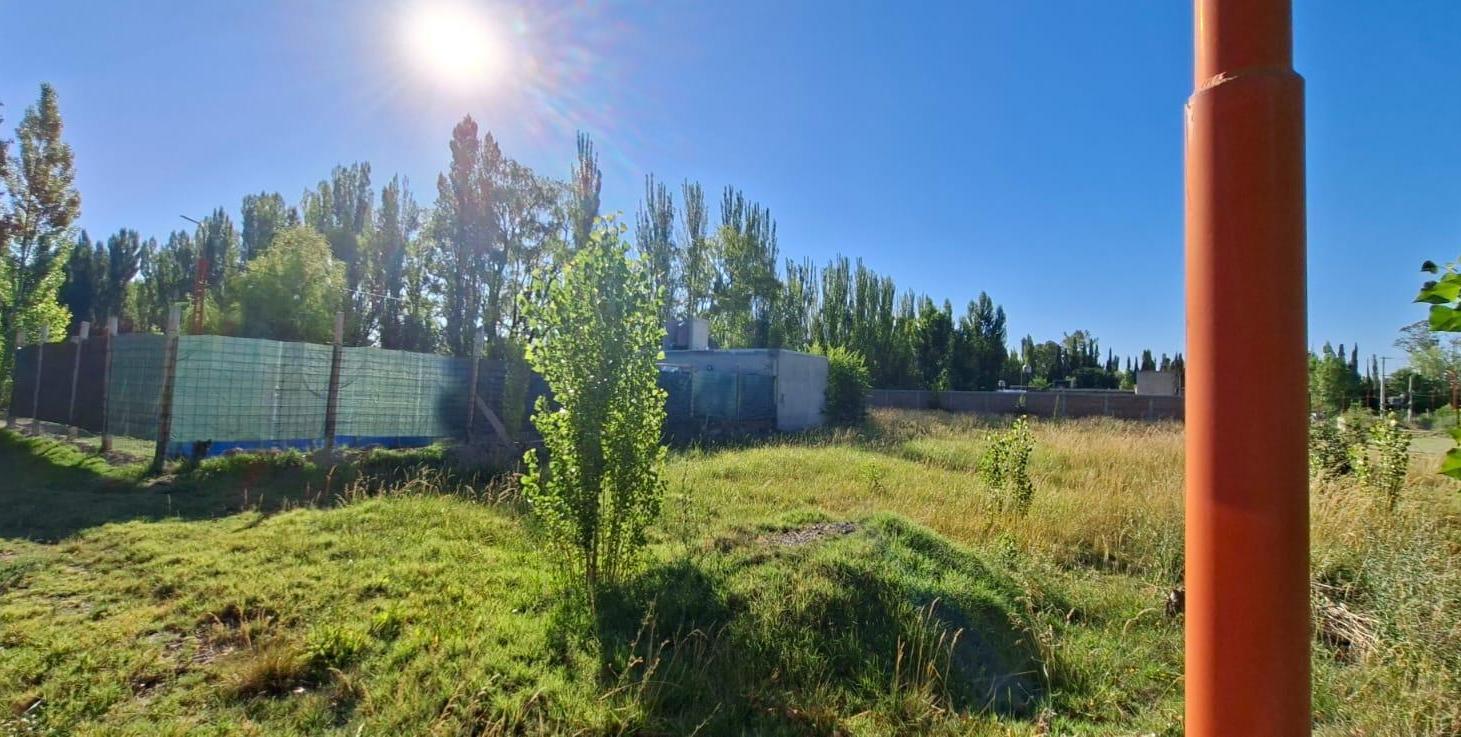 Foto de Terreno en venta en Cinco Saltos, imagen 1