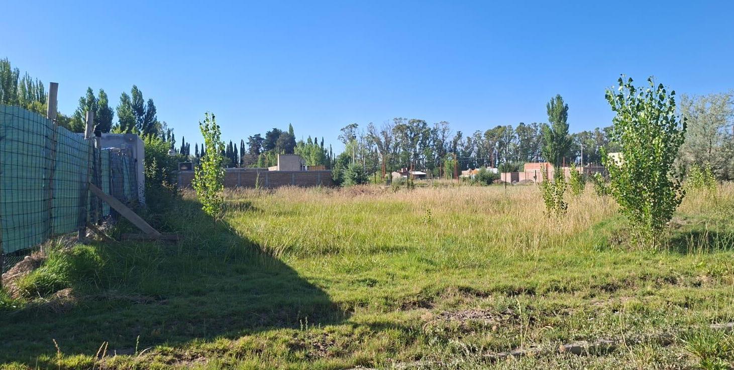 Foto de Terreno en venta en Cinco Saltos, imagen 2
