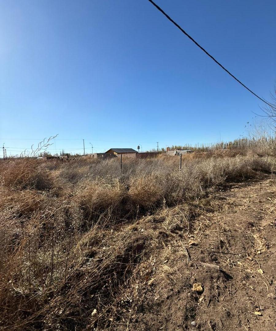 Foto de Terreno en Allen, imagen 1