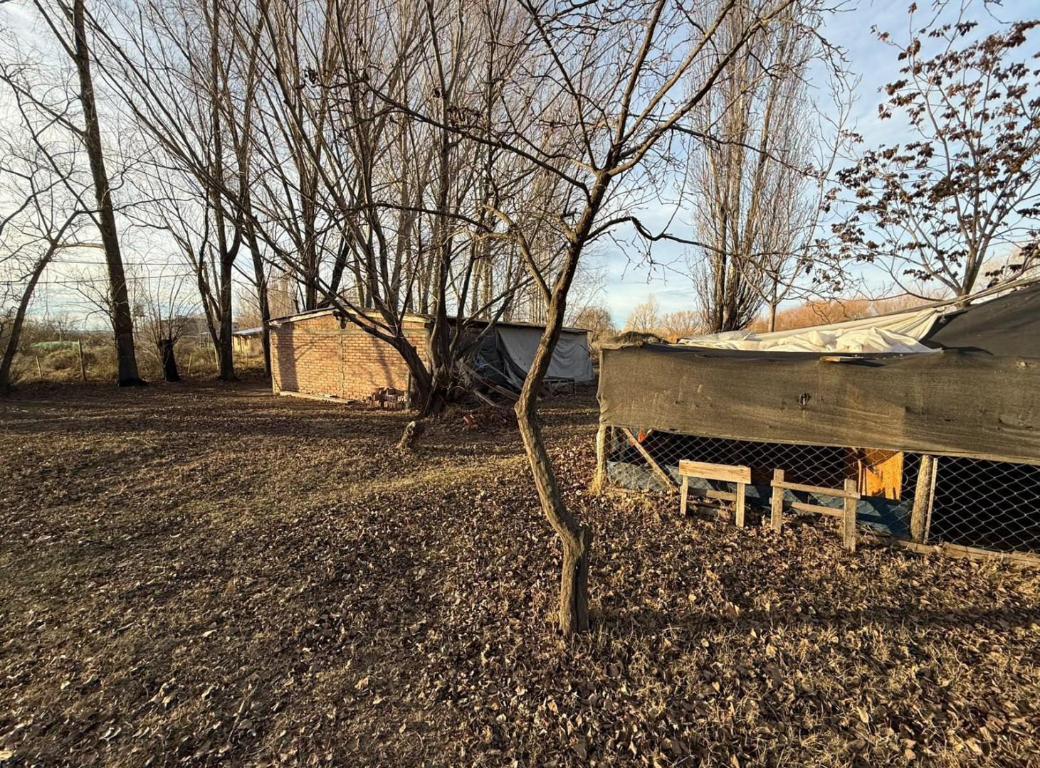 Foto de Chacra de 1 hectarea con 2 casas, imagen 1