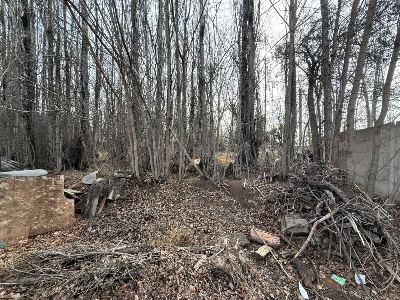 Foto de Terreno en Plottier, imagen 2