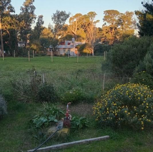Foto de CHALET 4 AMB CON LOCAL Y PARQUE EN LOS ACANTILADOS . APTO CREDITO, imagen 4