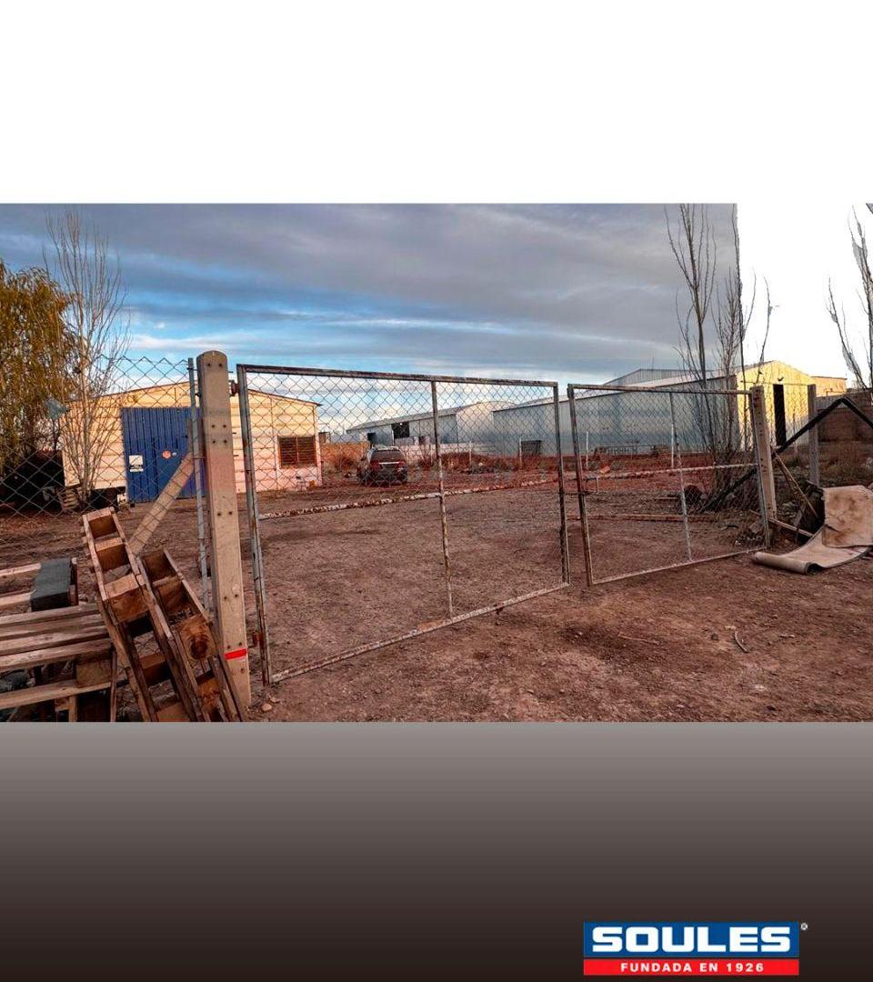 Foto de SOULES VENDE GALPÓN EN CIPOLLETTI, imagen 5