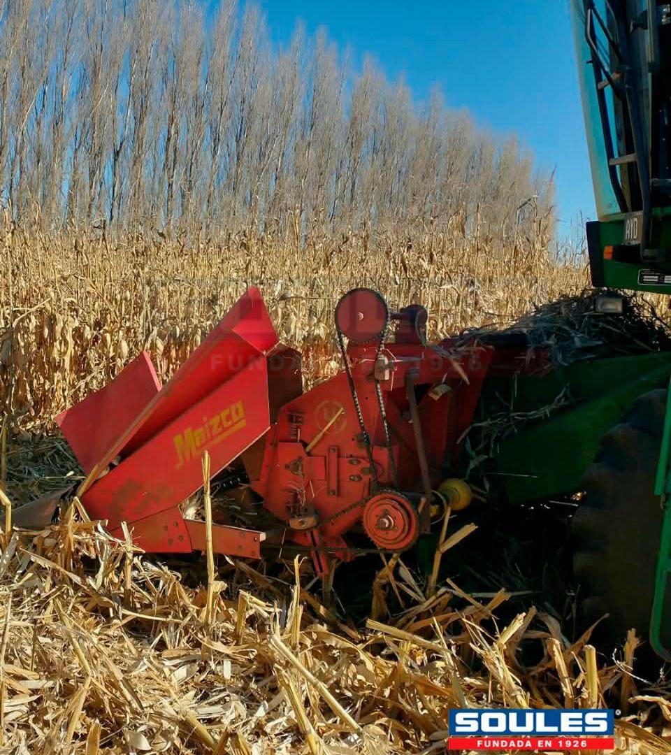 Foto de SOULES VENDE CAMPO, imagen 4