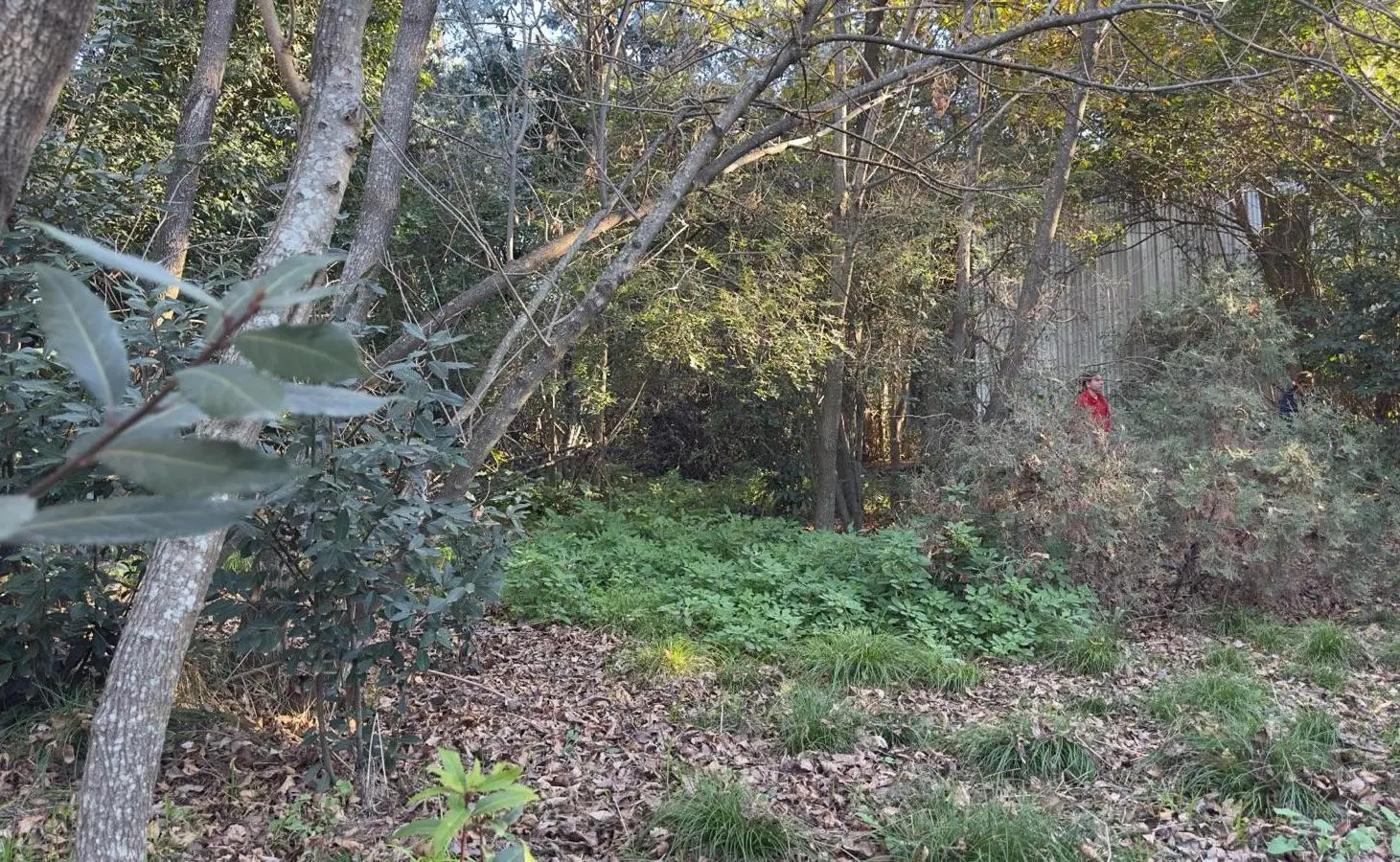 Terreno en Venta Barrio Los Tilos - Garín 8